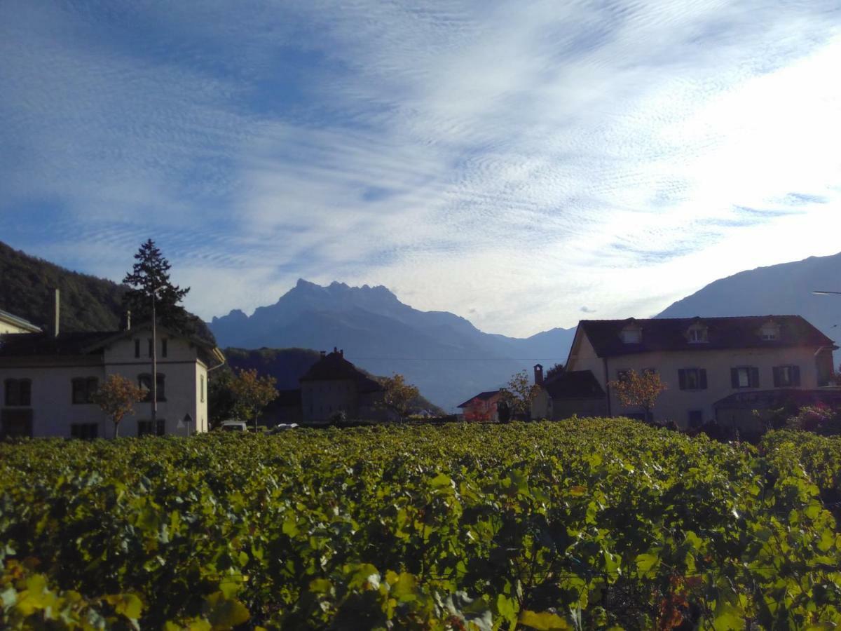 Hotel Elément-Terre à Aigle Extérieur photo