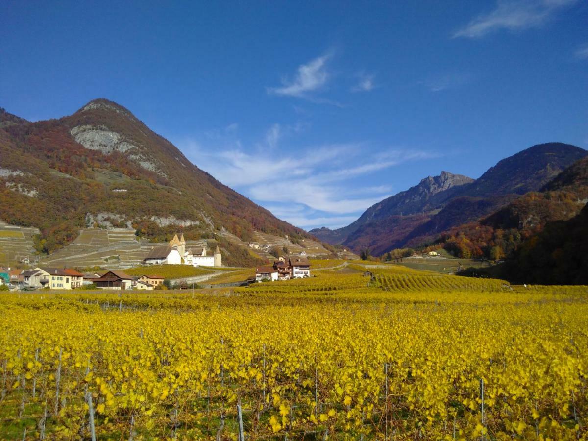 Hotel Elément-Terre à Aigle Extérieur photo