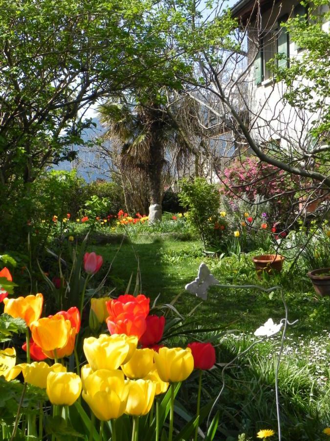 Hotel Elément-Terre à Aigle Extérieur photo