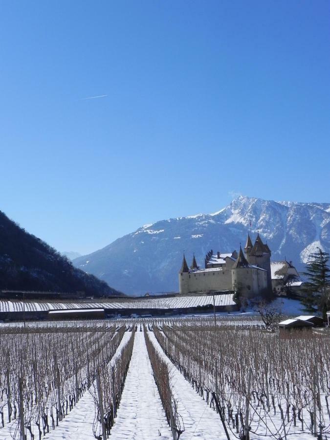 Hotel Elément-Terre à Aigle Extérieur photo